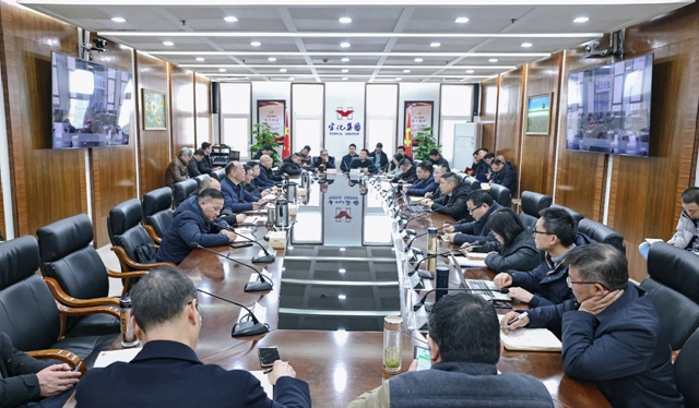 集團傳達學習落實全國全省全市安全生產(chǎn)電視電話會議精神(圖1)