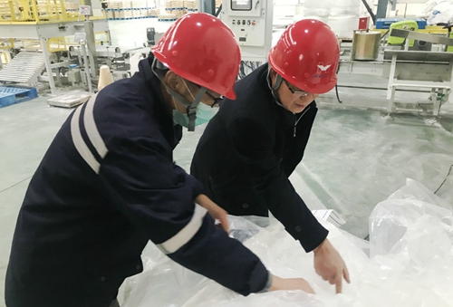 王大真到新材料公司、TPO項目現場和股份公司檢查工作